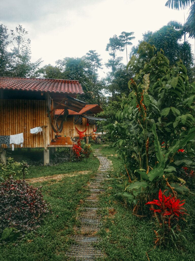 centrum medicíny, Pastaza, Ekvádor, ayahuasca