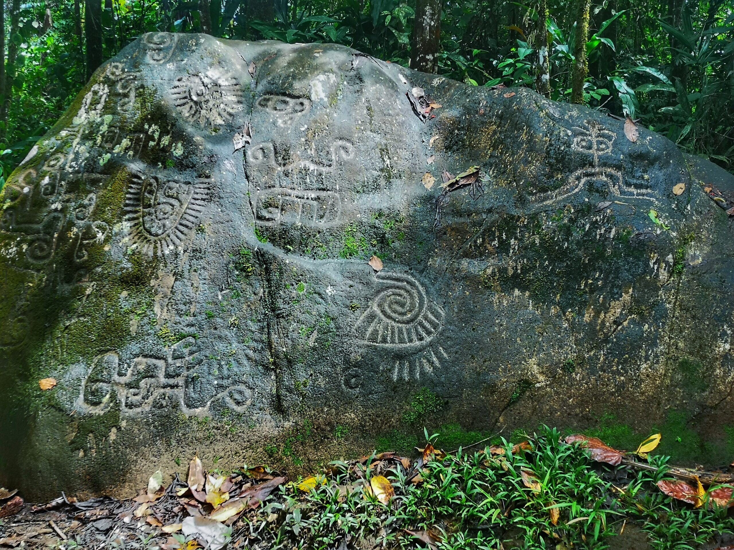 petroglyfy, Ekvádor, ayahuasca, yýprava do Amazónie