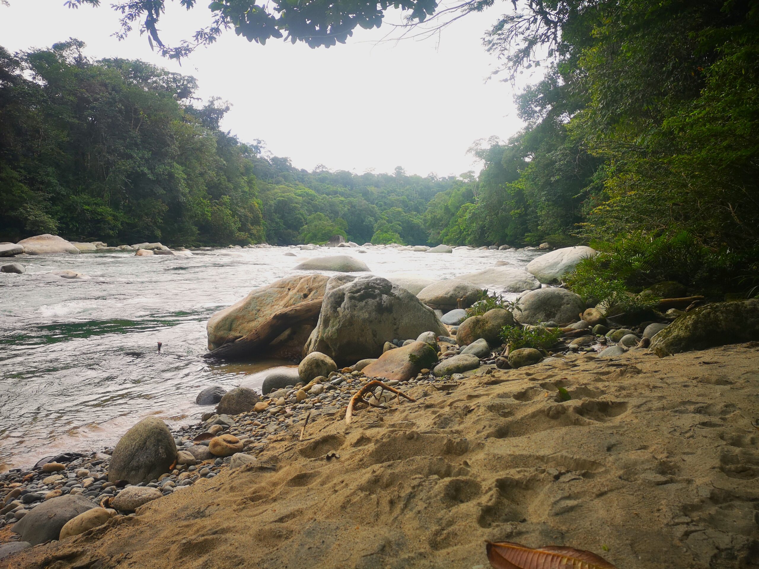 Rio Piatua, Ecuador