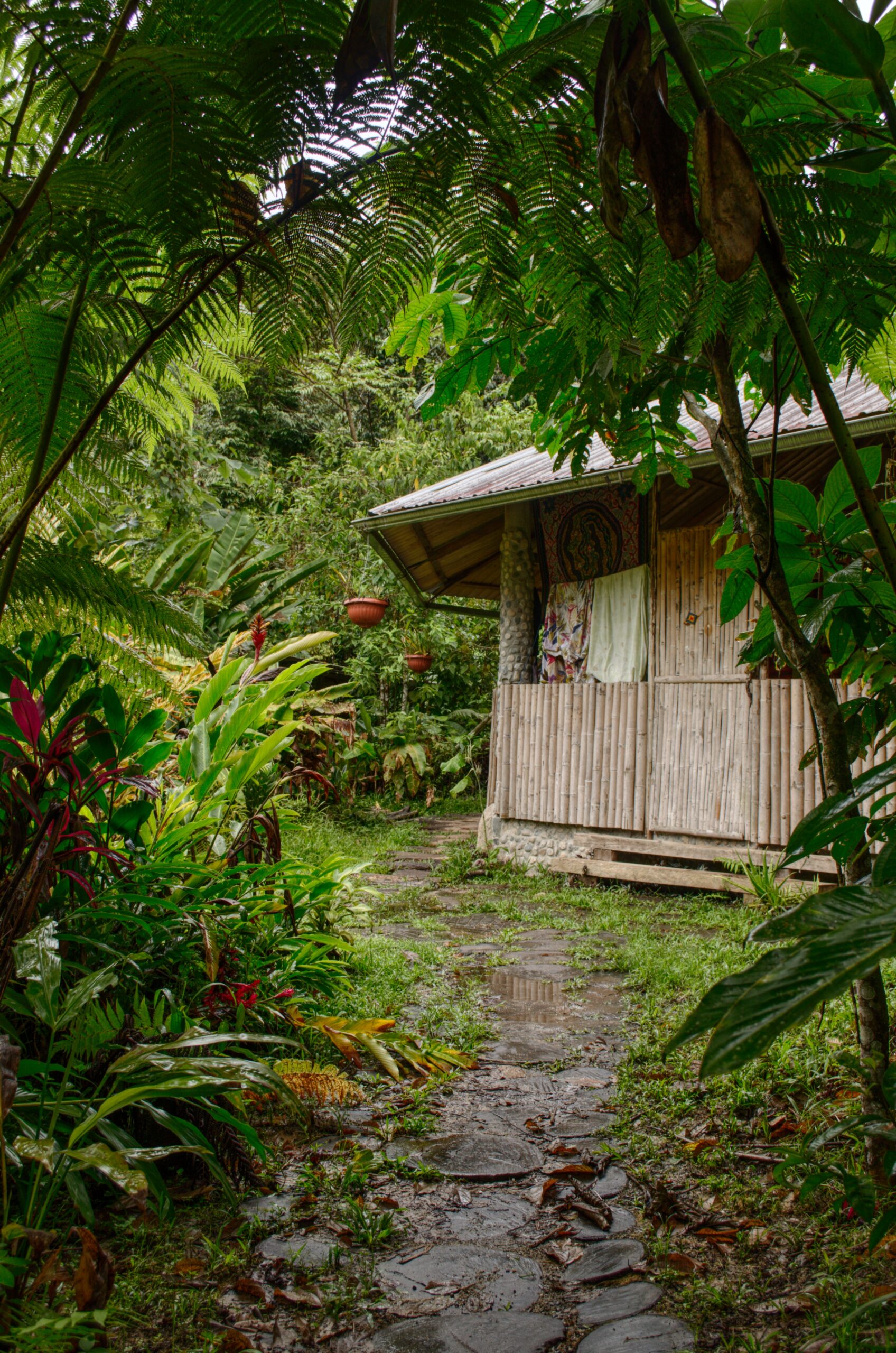 ayahuasca ceremónia, Ekvádor