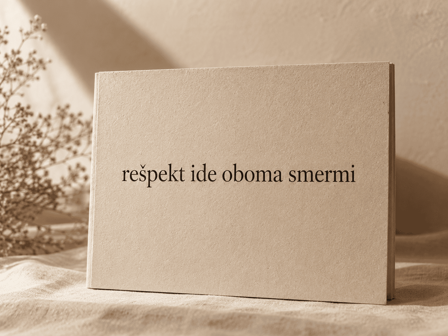 rešpekt, autorita